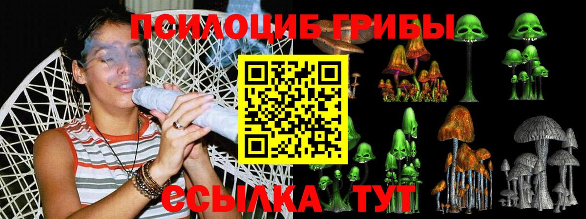 Галлюциногенные грибы Psilocybe Норильск